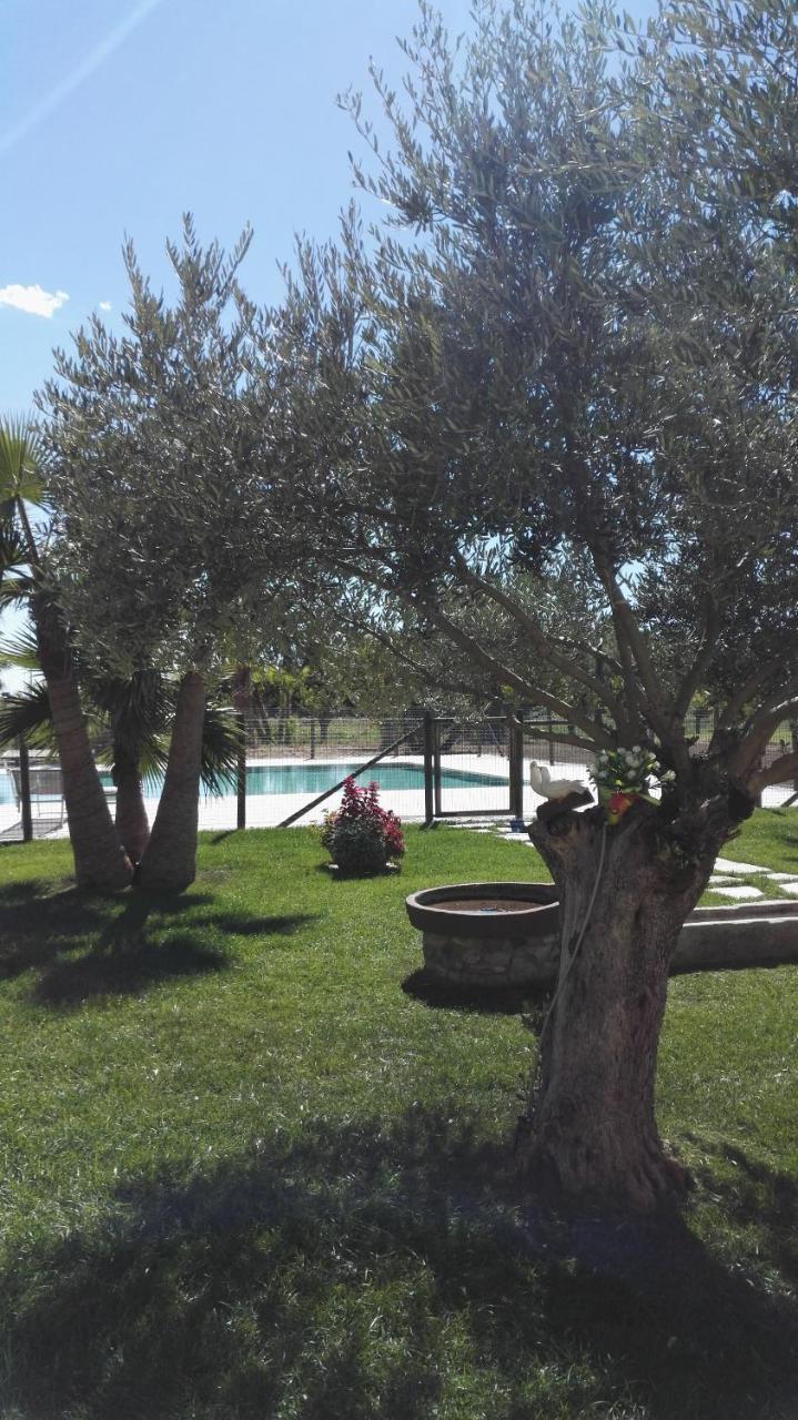 Agriturismo San Gallo Strassoldo Exterior photo
